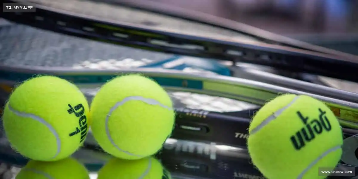 <strong>UED</strong>体育不止于竞技，更是对生活的热爱与坚持！🏓❤️